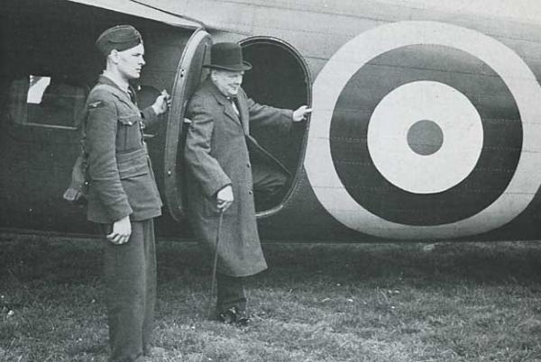 Churchill with Flamingo